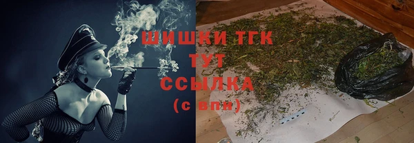 прущие грибы Володарск