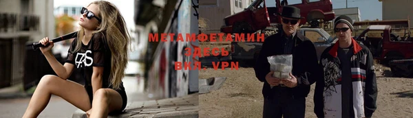 прущие грибы Володарск