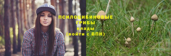 прущие грибы Володарск
